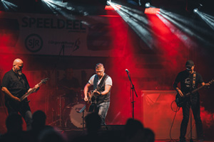 HERB live in Wisamr Schwedenfest