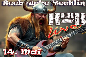 Wikinger Fest Mueritz-Sail in Rechlin mit HERB